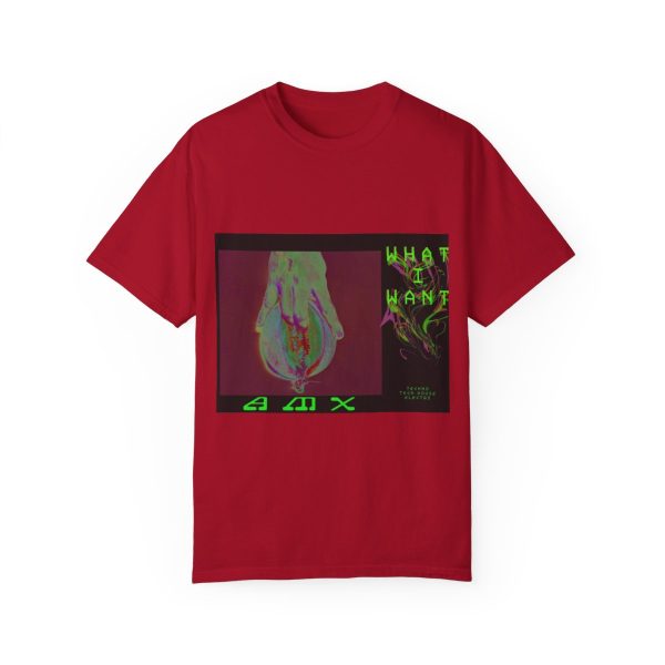 "What I Want" DJ AMX Merch - Image 40
