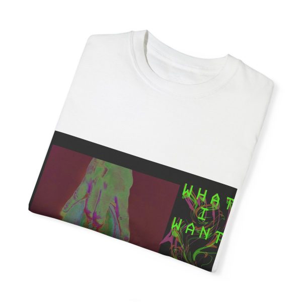 "What I Want" DJ AMX Merch - Image 16