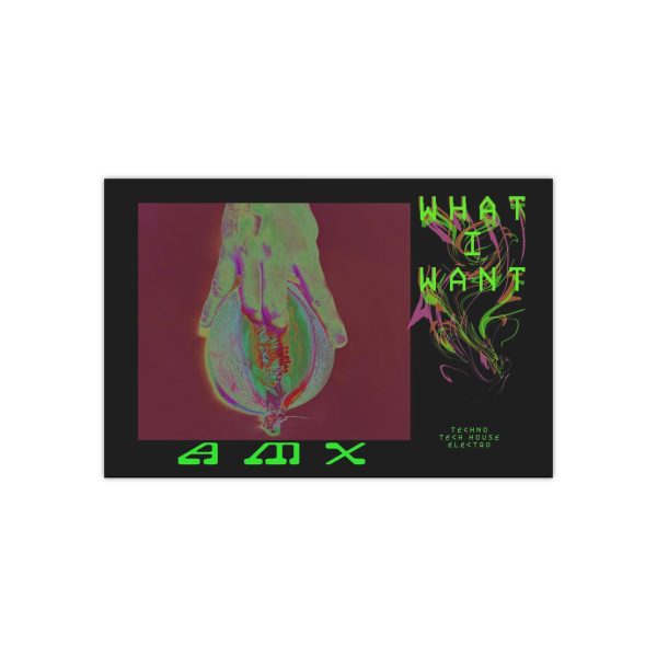 "What I Want" Satin Poster (300gsm) - Image 4