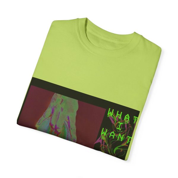 "What I Want" DJ AMX Merch - Image 29