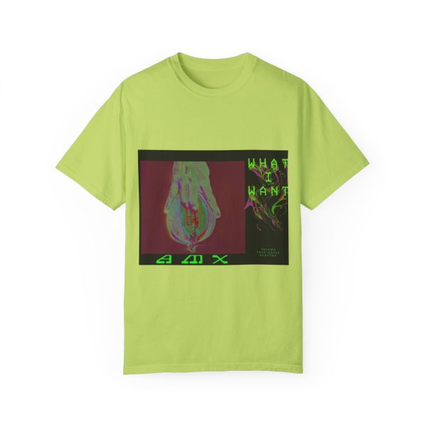 "What I Want" DJ AMX Merch - Image 27